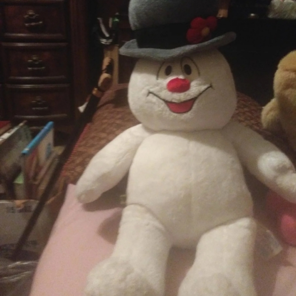 Build-A-Bear Snowman  20" - Picture 8 of 8